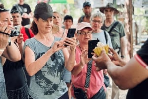 From Punta Cana: Los Haitises Guided Day Tour