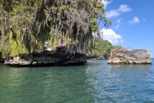 A partir de Punta Cana: Excursão Los Haitises: Manguezais, Cavernas + Montanha Redonda