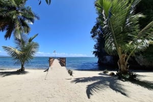 A partir de Punta Cana: Excursão Los Haitises: Manguezais, Cavernas + Montanha Redonda