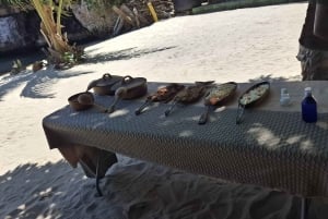 A partir de Punta Cana: Excursão Los Haitises: Manguezais, Cavernas + Montanha Redonda