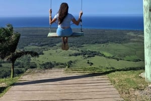 A partir de Punta Cana: Excursão Los Haitises: Manguezais, Cavernas + Montanha Redonda