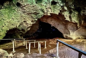 A partir de Punta Cana: Excursão Los Haitises: Manguezais, Cavernas + Montanha Redonda