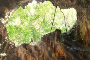 A partir de Punta Cana: Excursão Los Haitises: Manguezais, Cavernas + Montanha Redonda