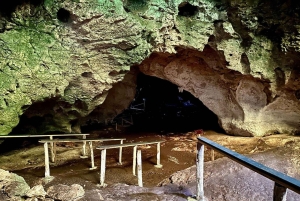 Desde Punta Cana: Tour Los Haitises: Manglares, Cuevas + Montaña Redonda