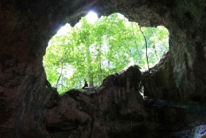 Desde Punta Cana: Tour Los Haitises: Manglares, Cuevas + Montaña Redonda