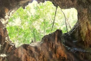 Desde Punta Cana: Tour Los Haitises: Manglares, Cuevas + Montaña Redonda