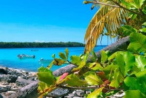 Punta Cana ou La Romana: Passeio pela Ilha Catalina e mergulho com snorkel