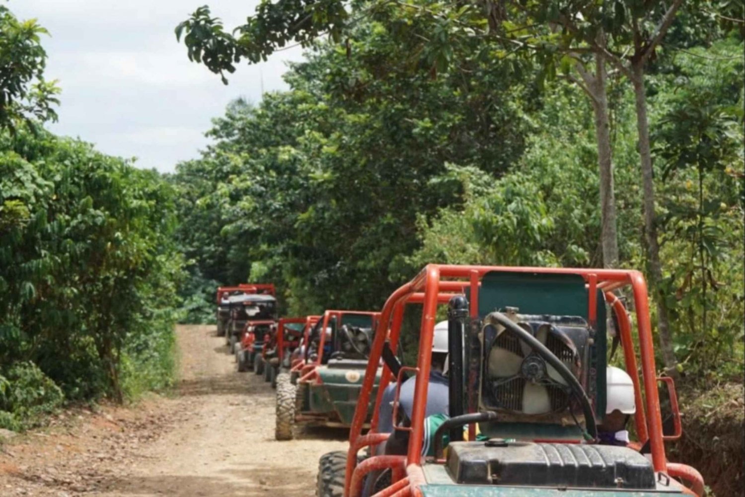 From Punta Cana or La Romana: Sugarcane Fields Buggy or Quad