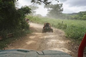 From Punta Cana or La Romana: Sugarcane Fields Buggy or Quad