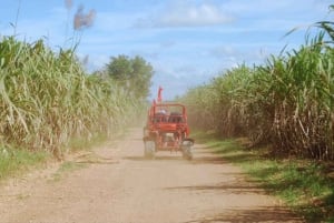 From Punta Cana or La Romana: Sugarcane Fields Buggy or Quad