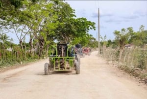 From Punta Cana or La Romana: Sugarcane Fields Buggy or Quad