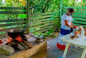 From Punta Cana: Safari Traditional Tour with Lunch