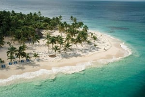 Depuis Punta Cana : Excursion d'une journée à Samana en bus et en bateau