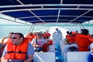 From Punta Cana: Samana Full Day Trip by Bus and Boat