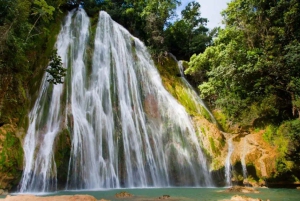 From Punta Cana Samana Tour With Cascada El Limon And Food