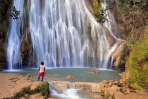 From Punta Cana: Sanctuary Whale Watching Day Trip