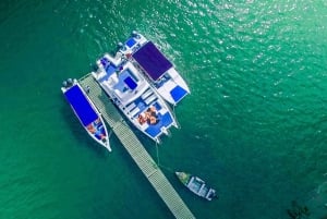 From Punta Cana: Sanctuary Whale Watching Day Trip