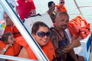 From Punta Cana: Sanctuary Whale Watching Day Trip