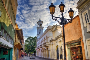 From Punta Cana: Santo Domingo Day Tour with National Park