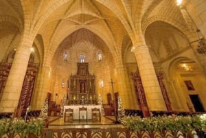 Viagem de um dia de Punta Cana a Santo Domingo com recolha no hotel