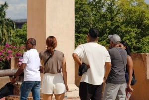 Viagem de um dia de Punta Cana a Santo Domingo com recolha no hotel