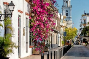 From Punta Cana: Santo Domingo Full-Day City Tour