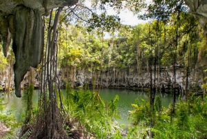 Von Punta Cana nach Santo Domingo: Tour Geschichte in der Stadt