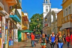 Von Punta Cana nach Santo Domingo: Tour Geschichte in der Stadt