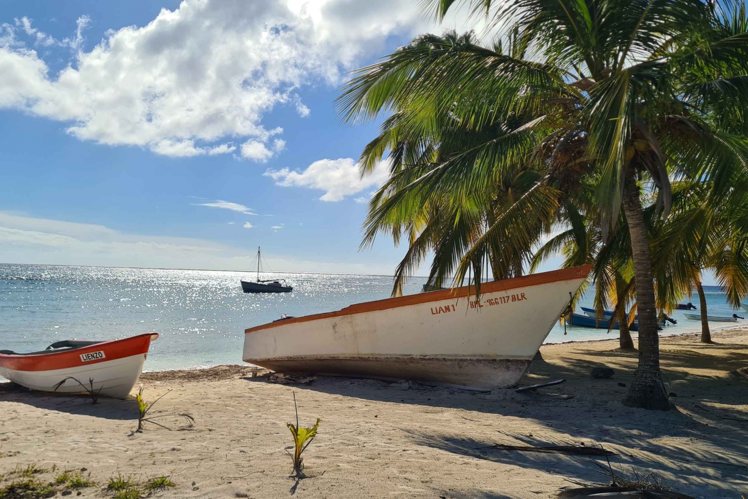 From Punta Cana: Saona Island Boat and Dune Buggy Combo Tour