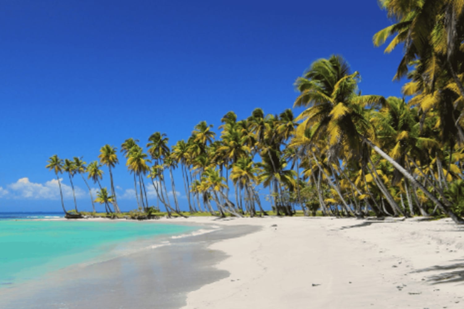 Da Punta Cana: Gita in barca sull'isola di Saona con buffet