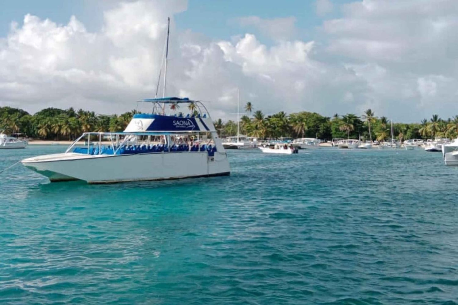 Da Punta Cana: Gita in barca sull'isola di Saona con buffet