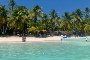 Da Punta Cana: Gita in barca sull'isola di Saona con buffet