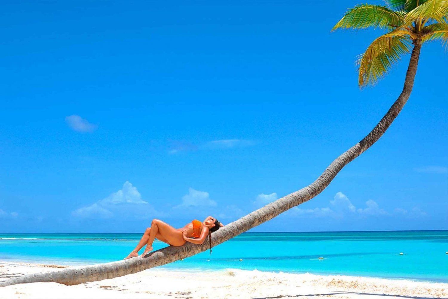 Desde Punta Cana: Catamarán y Lancha Rápida a Isla Saona…