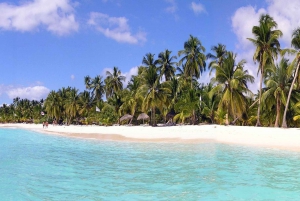 Fra Punta Cana: Saona Island katamaran og speedbåd ...