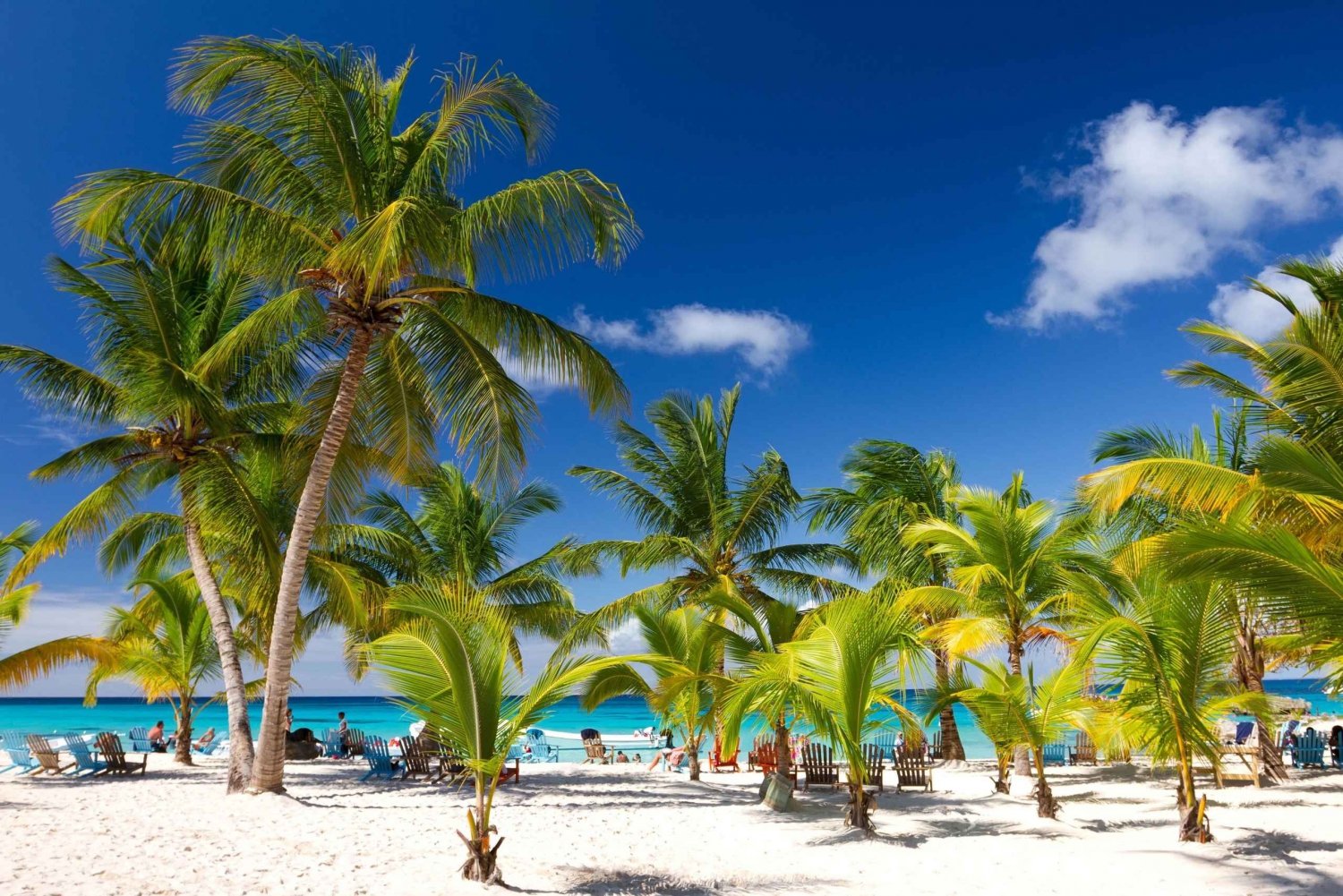 Punta Cana Katamaran til Saona med naturlig swimmingpool