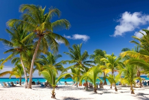 Catamarán de Punta Cana a Saona con Piscina Natural