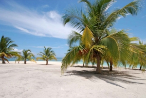 Punta Cana Katamaran til Saona med naturlig swimmingpool