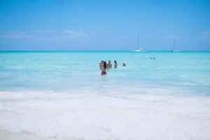 De Punta Cana: Passeio de catamarã pela Ilha Saona com almoço buffet