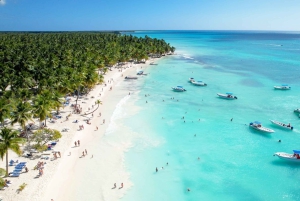 De Punta Cana: Passeio de catamarã pela Ilha Saona com almoço buffet