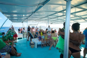 De Punta Cana: Passeio de catamarã pela Ilha Saona com almoço buffet