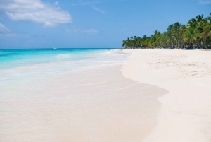 De Punta Cana: Passeio de catamarã pela Ilha Saona com almoço buffet