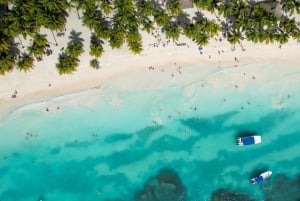 From Punta Cana: Saona Island Day Trip with Buffet Lunch