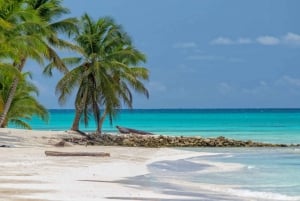 Au départ de Punta Cana : Excursion d'une journée en catamaran sur l'île de Saona