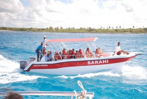 Desde Punta Cana: Excursión de un día en catamarán a la Isla Saona