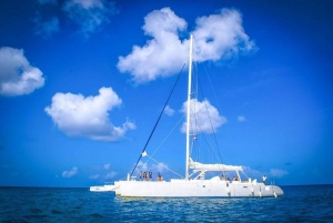 Desde Punta Cana: Excursión de un día en catamarán a la Isla Saona