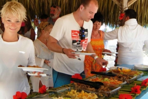 Desde Punta Cana: Excursión de un día completo a la Isla Saona con comida y bebida
