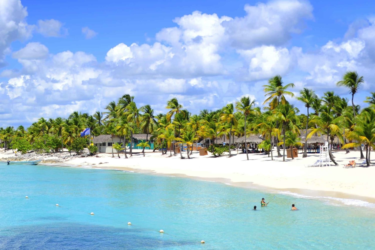 From Punta Cana: Saona Island Full-Day Tour with Lunch