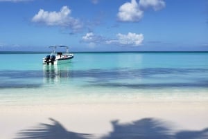 From Punta Cana: Saona Island Full-Day Tour with Lunch