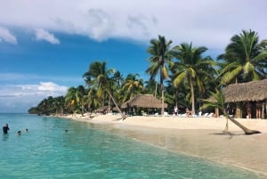 From Punta Cana: Saona Island Full-Day Tour