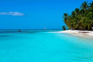 From Punta Cana: Saona Island Full-Day Tour